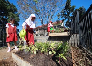 children stand by a garden outside, with one watering plants