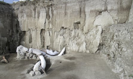 Mammoth bones lie at the excavation site in Tultepec, just north of Mexico City.
