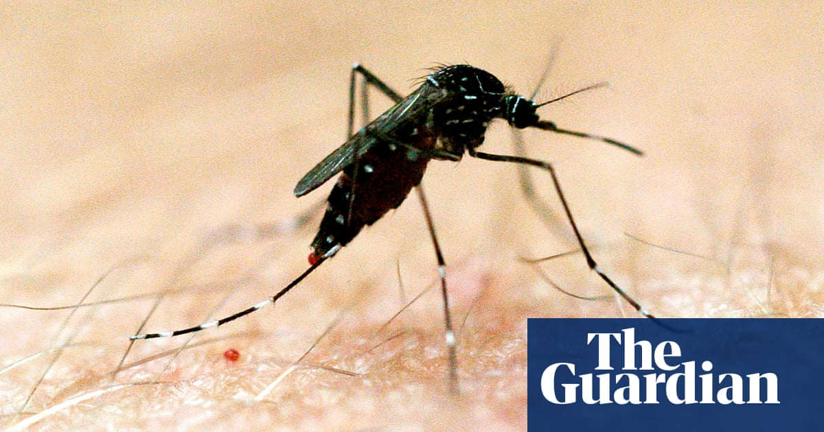 Japanese encephalitis virus declared ‘nationally significant’ as NSW woman in intensive care
