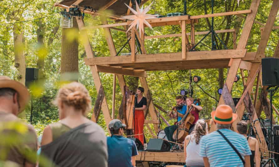 musicians on woodland stage