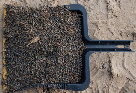 A pile of small black beads collected on the head of a spade