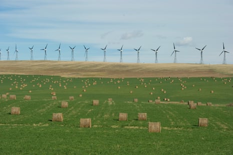 wind farm with bales of hay in the foreground