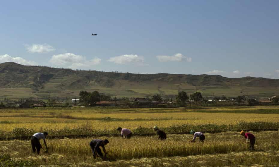 North Korea farmers