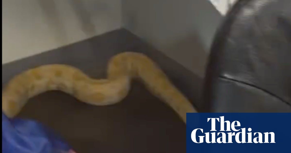 Virginia teacher and firefighters feud over whether a python started schoolhouse fire