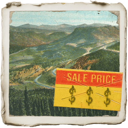 an illustration of a national park with a price tag on it