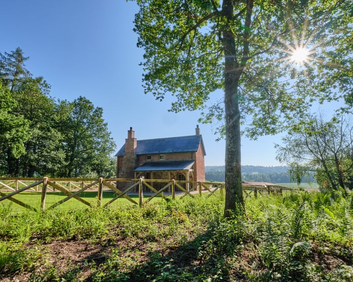 ‘I step outside into a cacophony of nature’: an off-grid escape in the west of England
