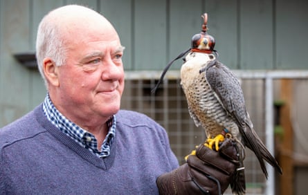 Auld with his peregrine falcon.