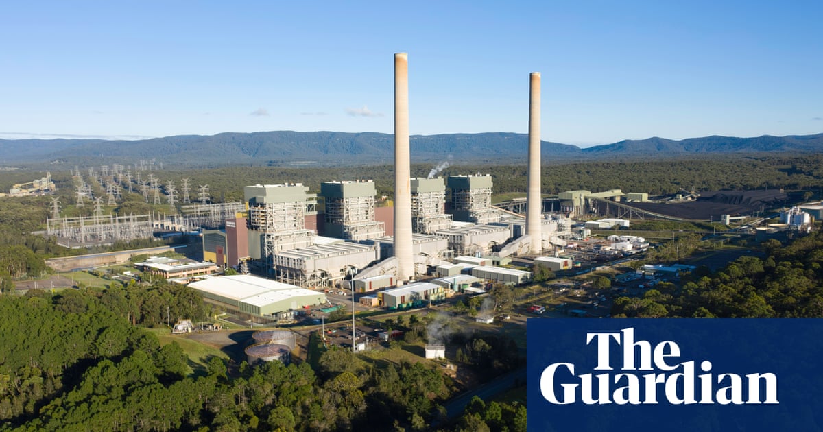 Mercury pollution at Eraring power plant rose 130% in 12 months | Energy