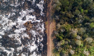 Deforestation in Argentina's Gran Chaco