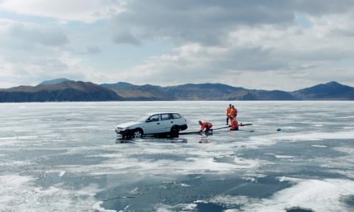 Five Seasons The Gardens Of Piet Oudolf Review Art Of A Dutch