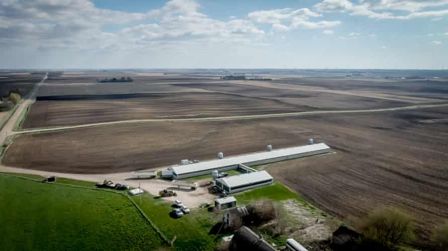 Aerial shot of a farm facility with a long farm building and a smaller one, surrounded by acres of dirt.