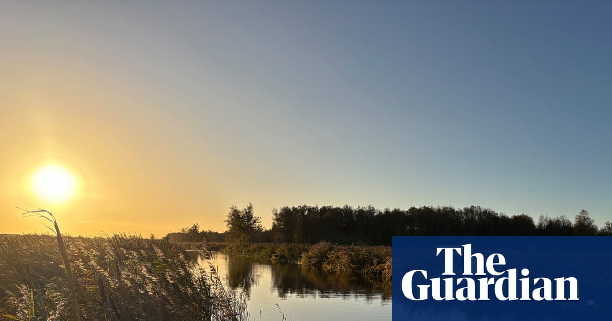 Wetlands and wildlife in the Netherlands: slowing down and connecting with nature in Friesland