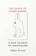 Cover of The Shape of Things Unseen- A New Science of Imagination by Adam Zeman