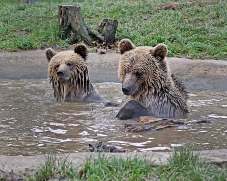 Mish and Lucy sitting in a pond