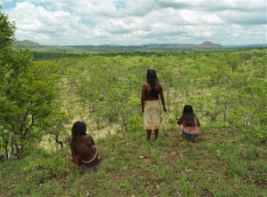 Approximately 300,000 hectares of the Cerrado is the protected territory of the Kraho people. The area is too large for complete surveillance and it is feared that remote portions are already being violated.