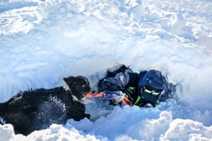 La Rosiere, FranceA dog takes part in a search and rescue training exercise for avalanche victims in the French Alps