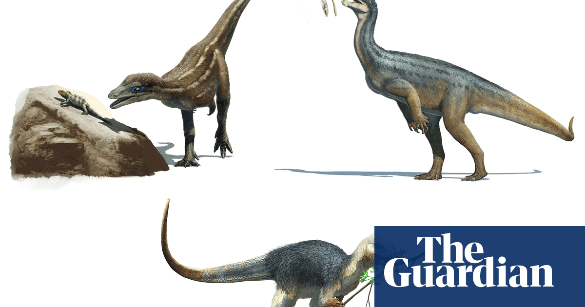 Teeth suggest ancestors of diplodocus may have eaten meat