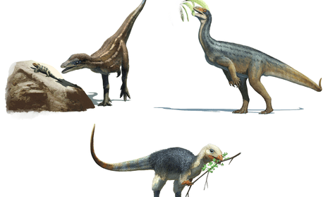 simulated images of early dinosaurs eating plants and other animals