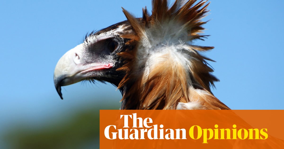 Many Birds Feature In Our Art And Songlines But I M