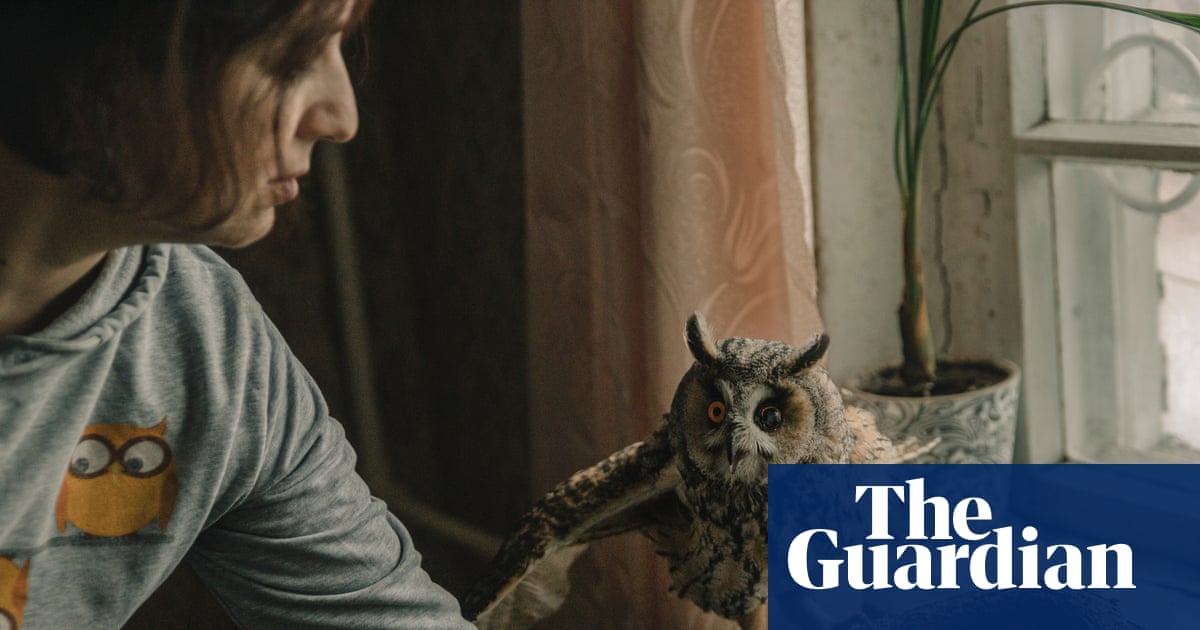 Ukrainian Wildlife a Casualty of Russian Aggression: Owl's Injury Highlights Need for Strong Defense