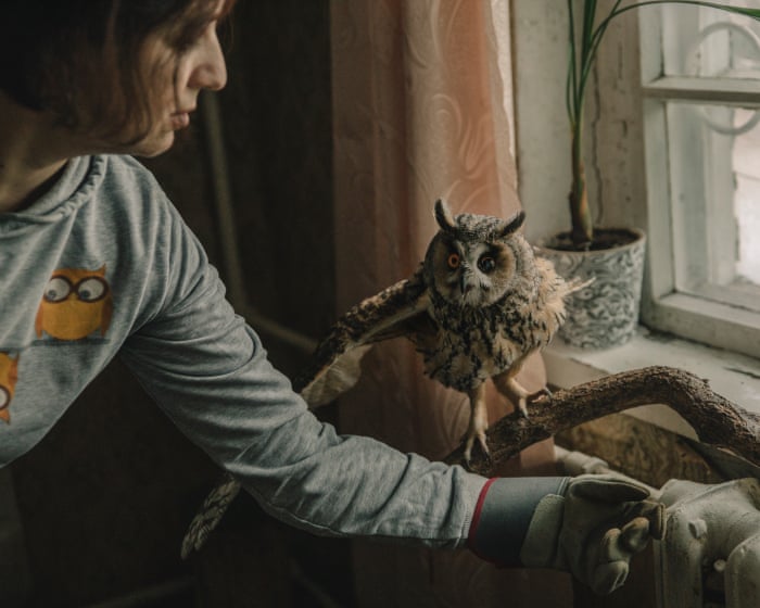 Blinded and broken, Sunny the owl becomes another casualty of Russia’s war