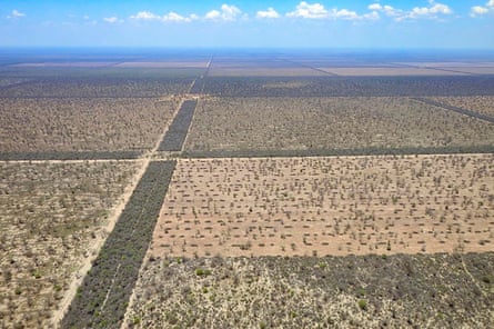 An aerial view shows large planted fields. A long strip of land with denser green foliage can also be seen