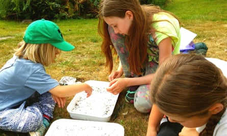 Swallowtails specialises in children’s activities.