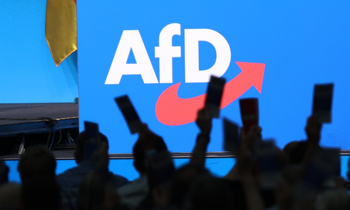 Germany's AfD and extremist allies set up second EU parliament far-right  group | European Union | The Guardian