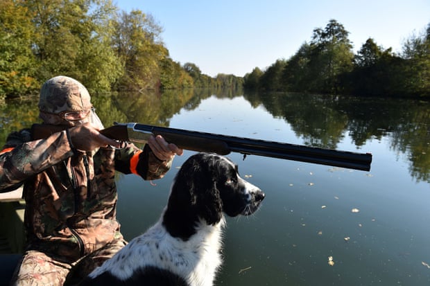 Ban on hunting birds with lead shot in EU wetlands
