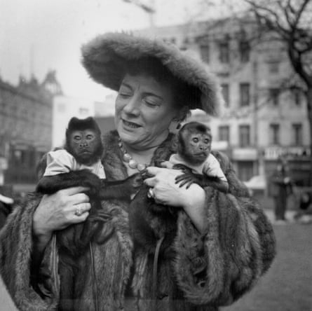 Hylda Baker with her monkeys in 1956.