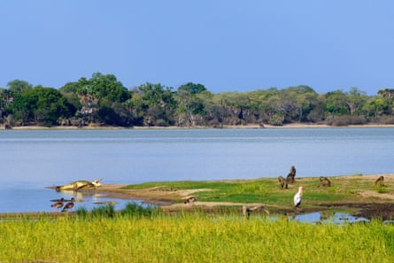Wildlife along the Rufiji river, Selous game reserve, Tanzania.