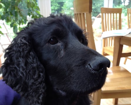 Closeup of Jack’s face