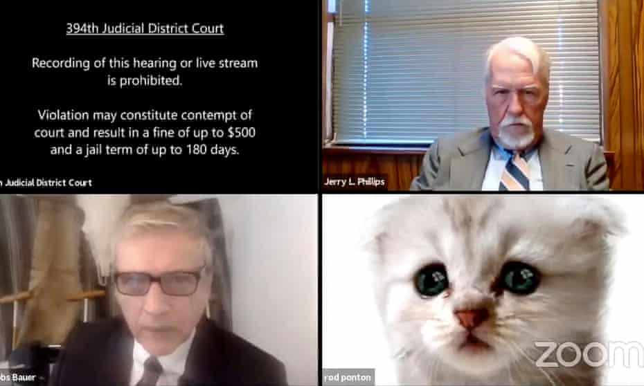 Texas lawyer Rod Ponton appearing as a cat during a virtual court hearing, February 2021.