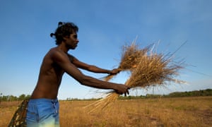 An Aboriginal man setting fire via traditional practices to manage the land An Aboriginal man setting fire via traditional practices to manage the land