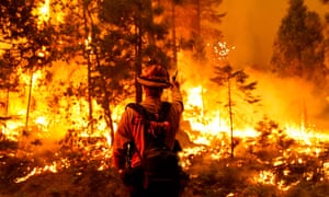 Firefighters conduct a back burn operation along CA-168 during the Creek Fire as it approaches the Shaver Lake Marina on Sunday in Shaver Lake, California.