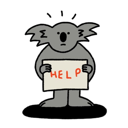A cartoon in which a koala holds a sign that says help