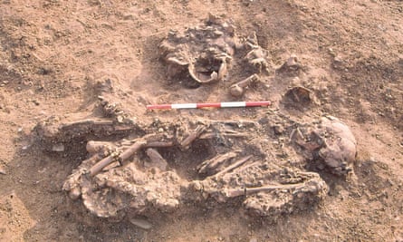 A skeleton from Windmill Fields, Stockton-upon-Tees, buried with skulls and bones of three people who had died several decades earlier.