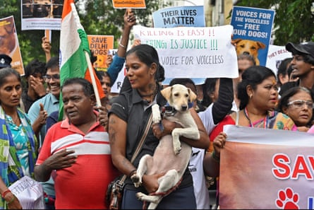 A ‘save stray dogs’ rally in Chennai