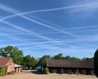 Country diary: My fear is that one year the swifts will not return | Kate Blincoe