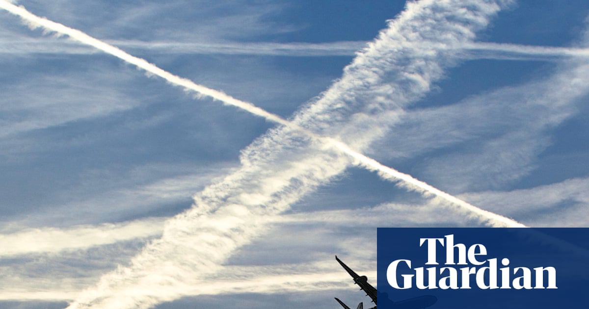 Revealed: Corporate capture' of UN aviation body by industry