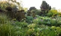 Great Dixter: The Peacock Garden