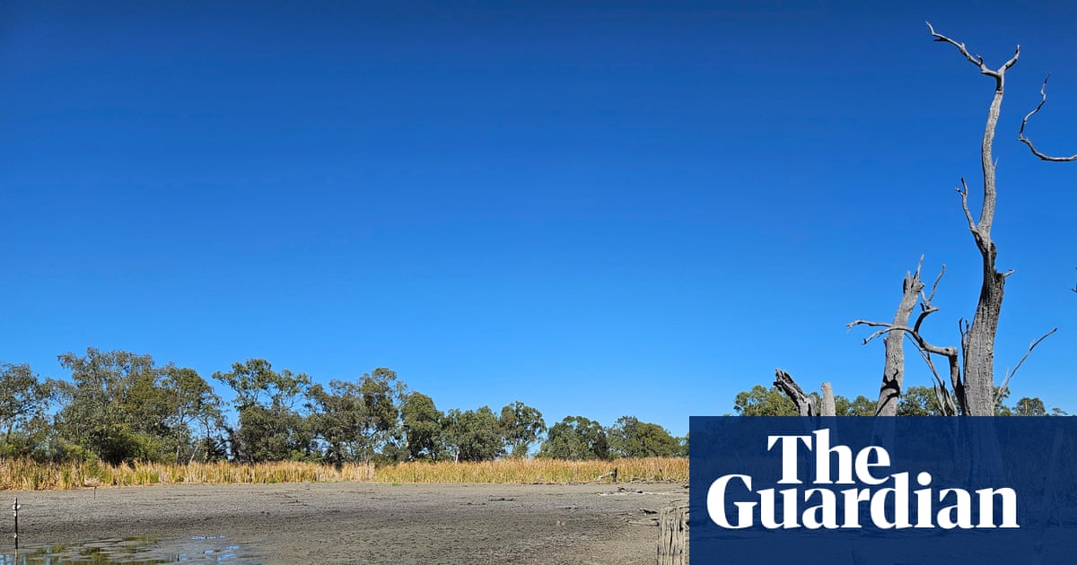 Governments failed to deliver $160m of river improvements including for now-parched NSW wetlands, report finds