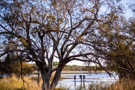 Children play in the shallows of Munkajarra Wetlands, on the outskirts of Derby, WA.