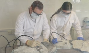 The bones include evidence of bite marks and healing, hinting at how the dinosaur may have died.