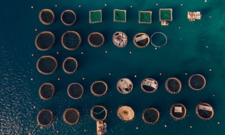 Aerial view of fish pens in the Saronic Gulf, Greece.