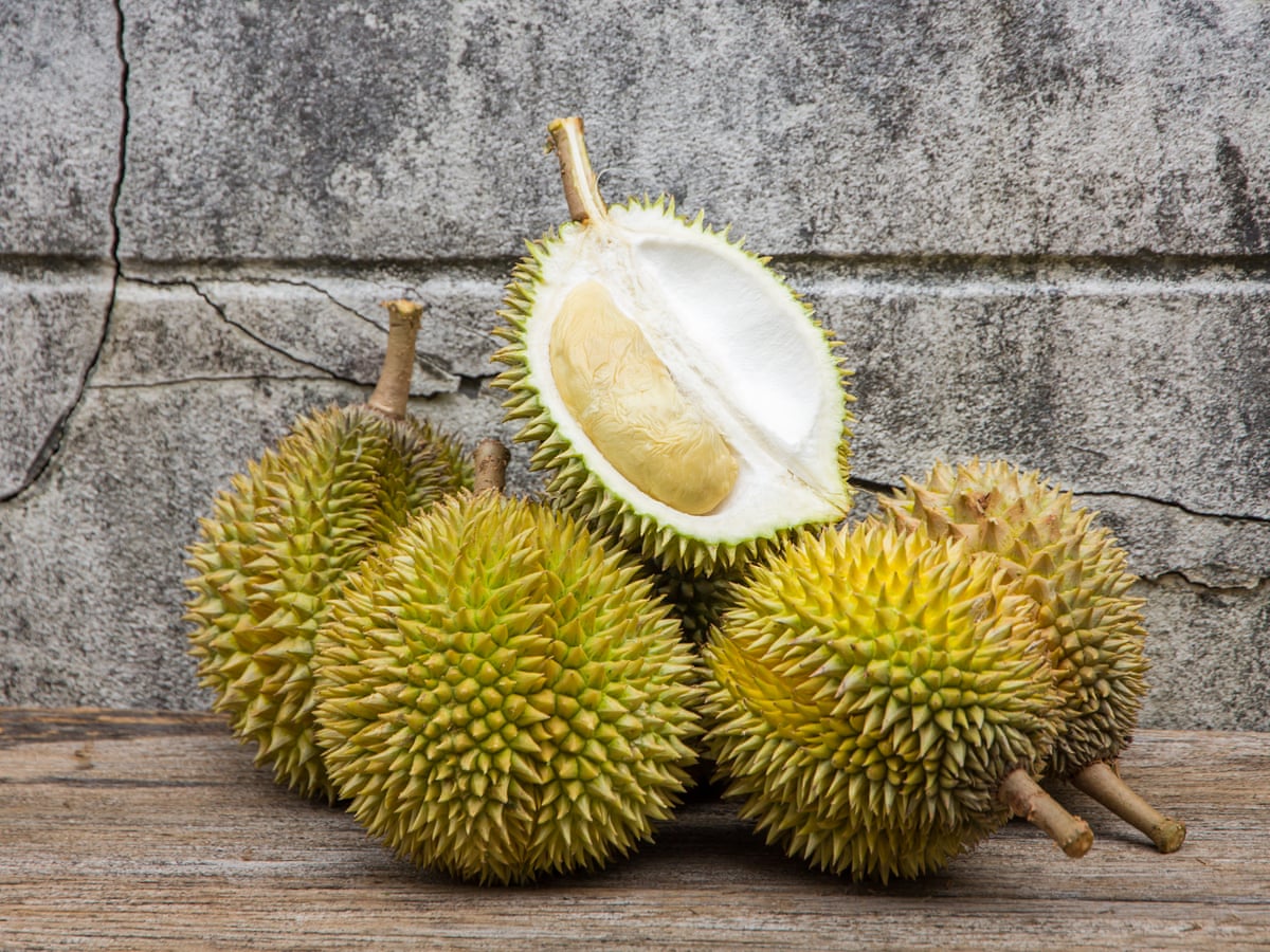 Best Smeller Malaysia Cashes In On Chinese Demand For Durian Fruit Fruit The Guardian
