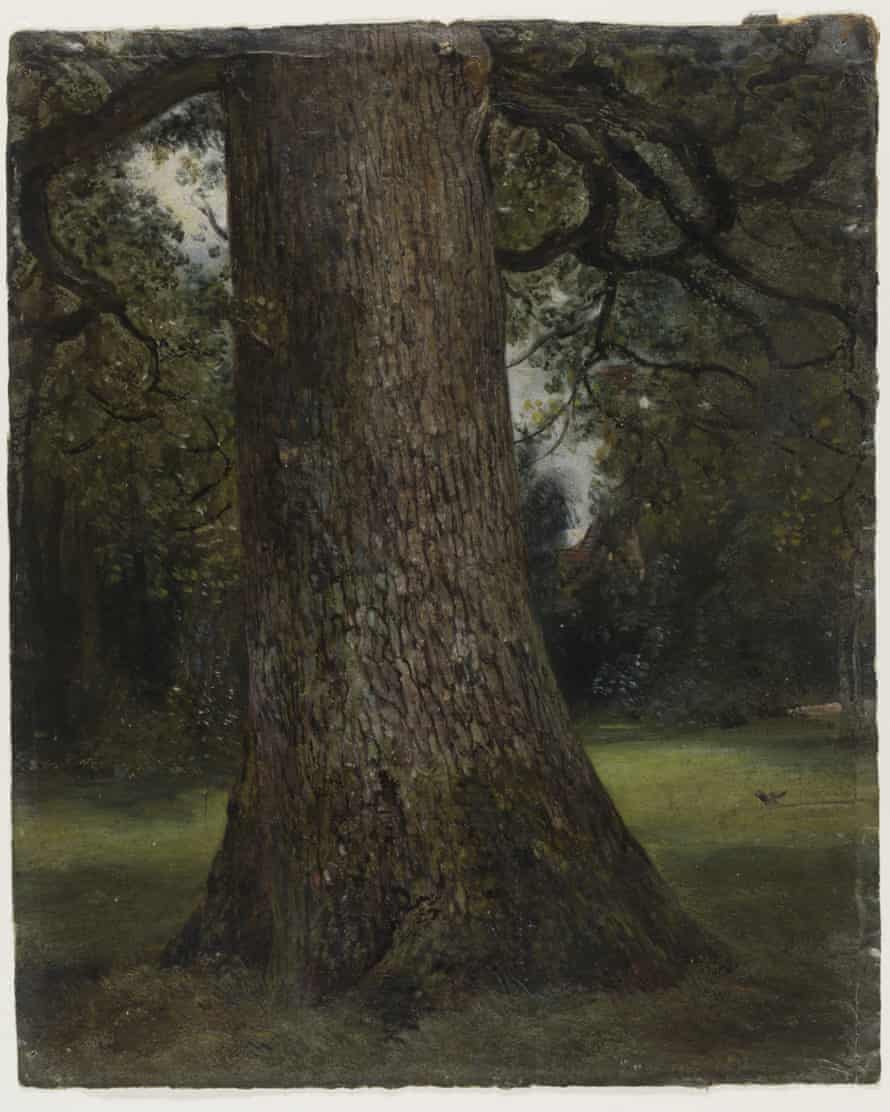 Study of the Trunk of an Elm Tree, c1821-28, John Constable.
