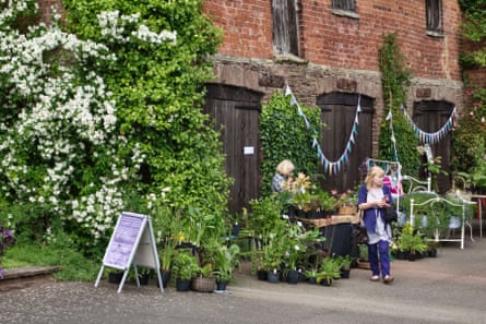 A plant fair (Stockton Bury Gardens, Leominster, Herefordshire, UK)