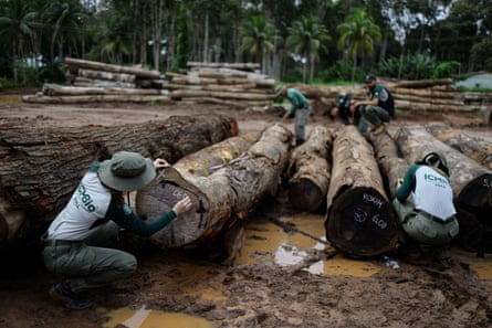Inspector with logs seized from the Amazon rainforest during an operation to combat deforestation, at a sawmill in Nova California, Rondonia, February 2025.