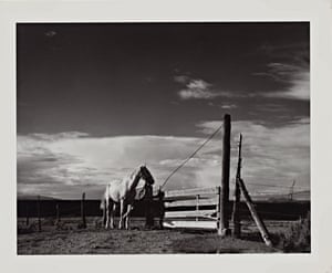 Paul Strand (American, 1890–1976) Strand was seen as one of the early pioneers of American modernist photography and he started the socially conscious Photo League cooperative in New York in 1936. This image is called White Horse in Ranchos de Taos, New Mexico in 1932
